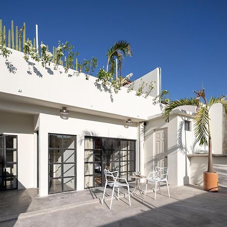 Casa Lumos - Minimalist Comfort Suites In Centro Historico Oaxaca Εξωτερικό φωτογραφία