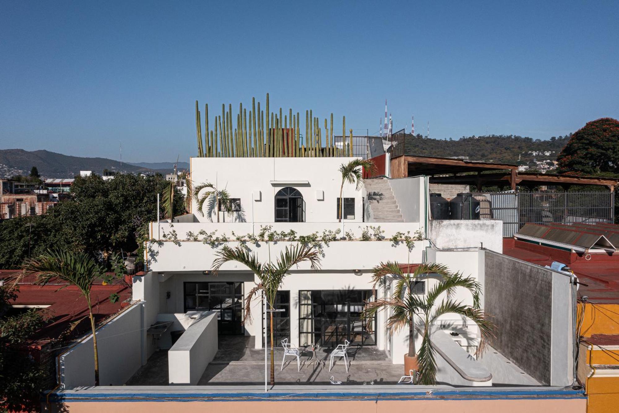 Casa Lumos - Minimalist Comfort Suites In Centro Historico Oaxaca Εξωτερικό φωτογραφία