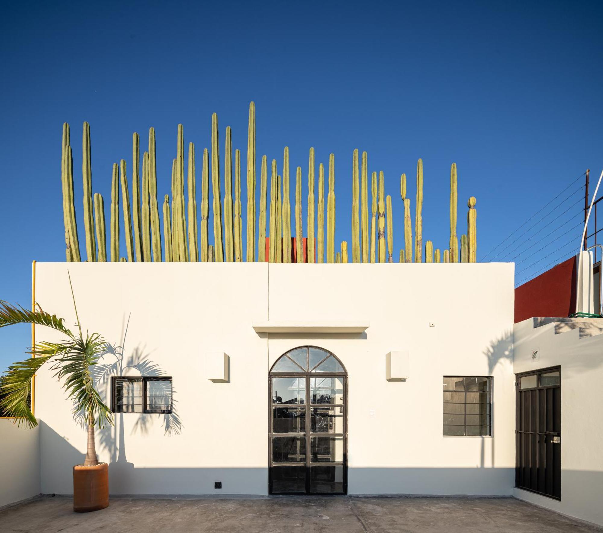 Casa Lumos - Minimalist Comfort Suites In Centro Historico Oaxaca Εξωτερικό φωτογραφία