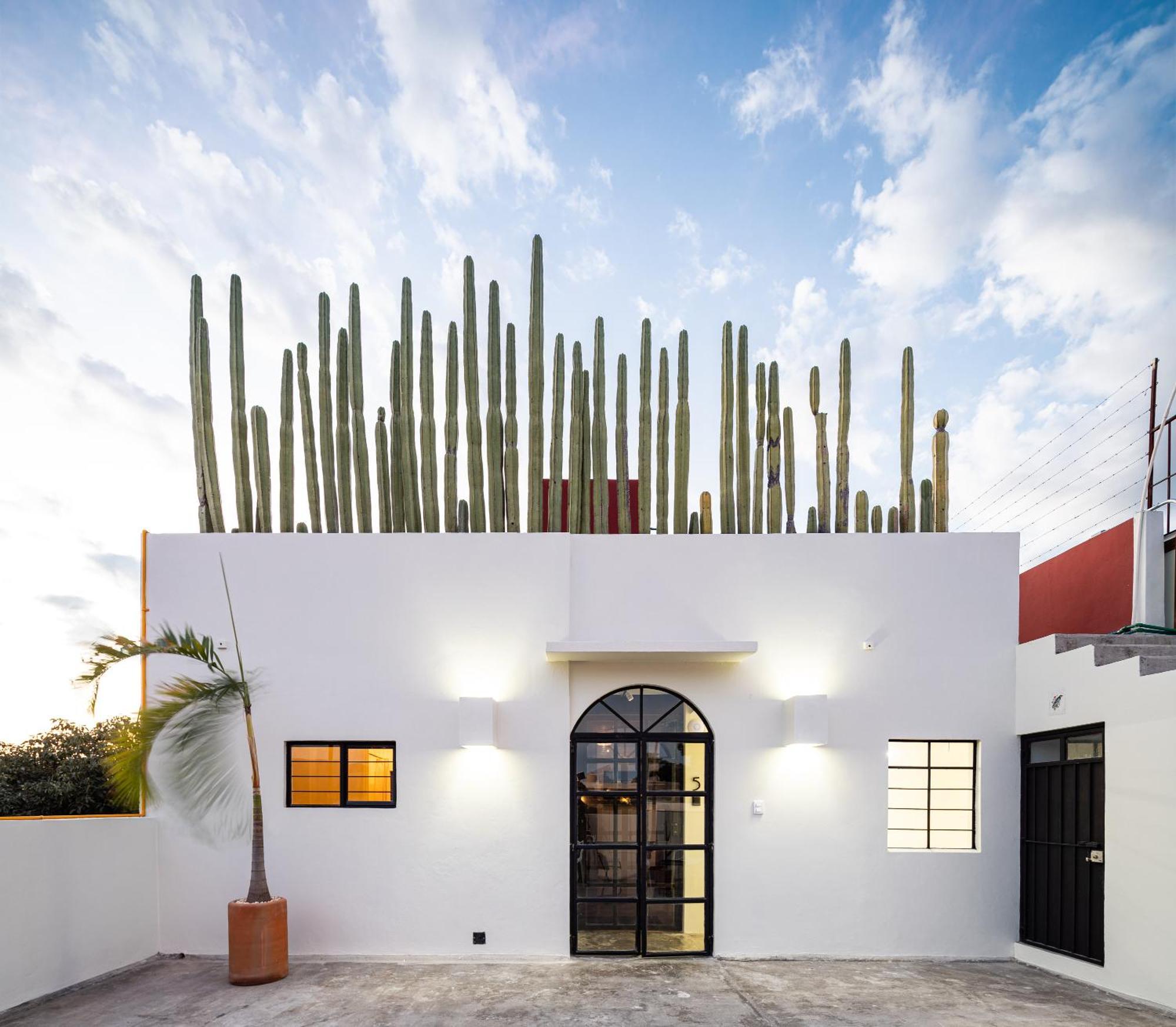 Casa Lumos - Minimalist Comfort Suites In Centro Historico Oaxaca Εξωτερικό φωτογραφία