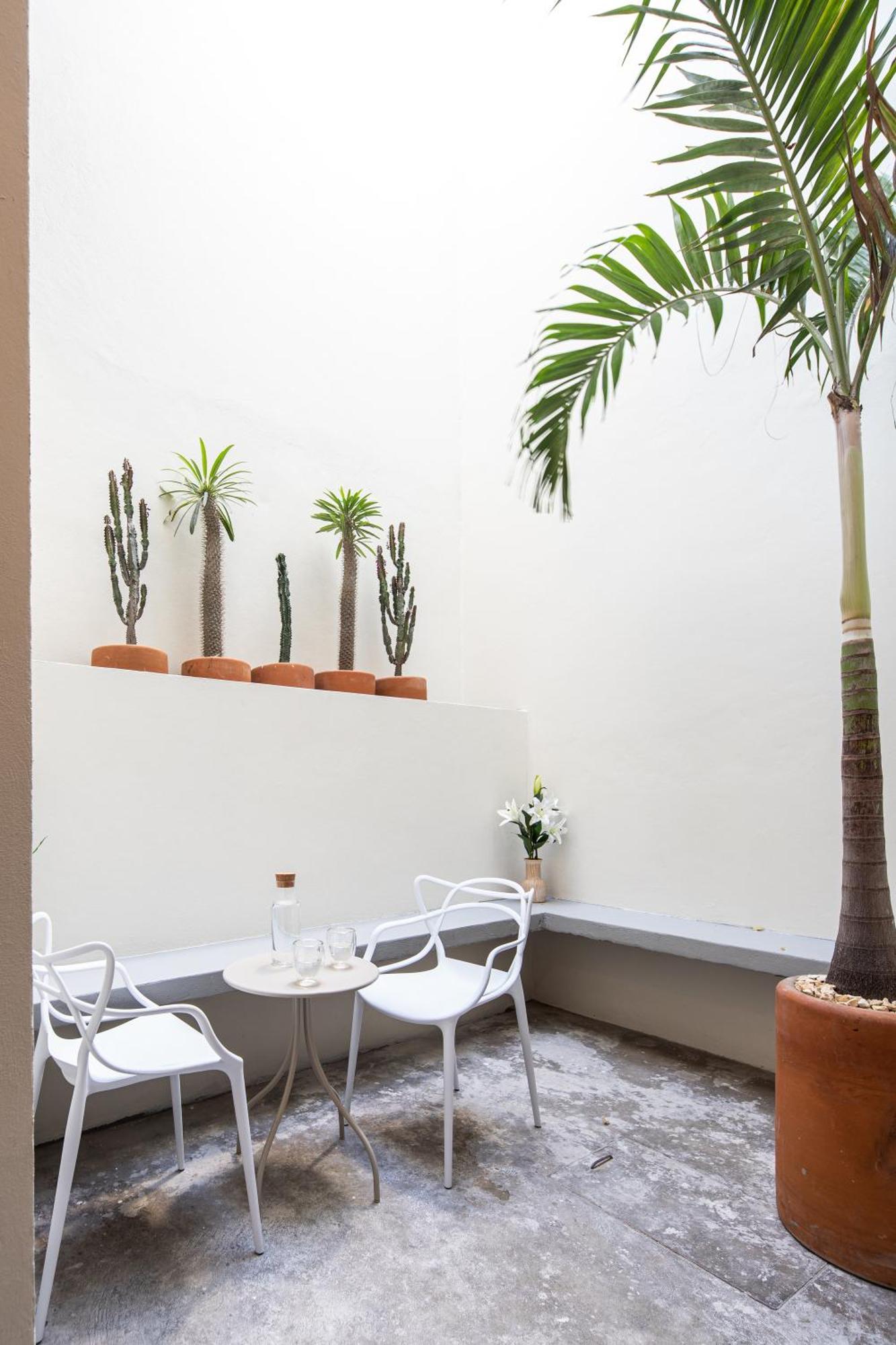 Casa Lumos - Minimalist Comfort Suites In Centro Historico Oaxaca Εξωτερικό φωτογραφία