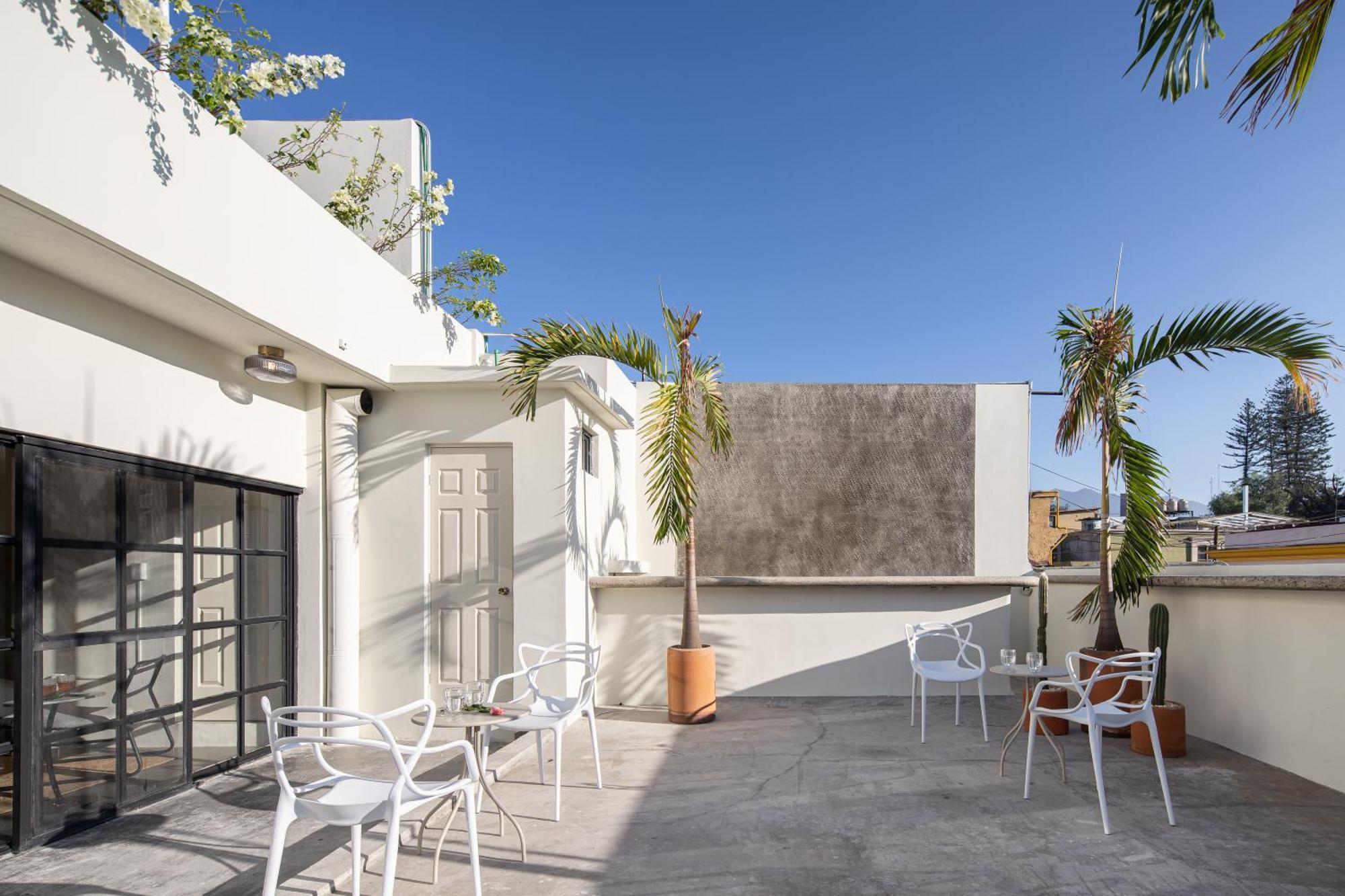 Casa Lumos - Minimalist Comfort Suites In Centro Historico Oaxaca Εξωτερικό φωτογραφία