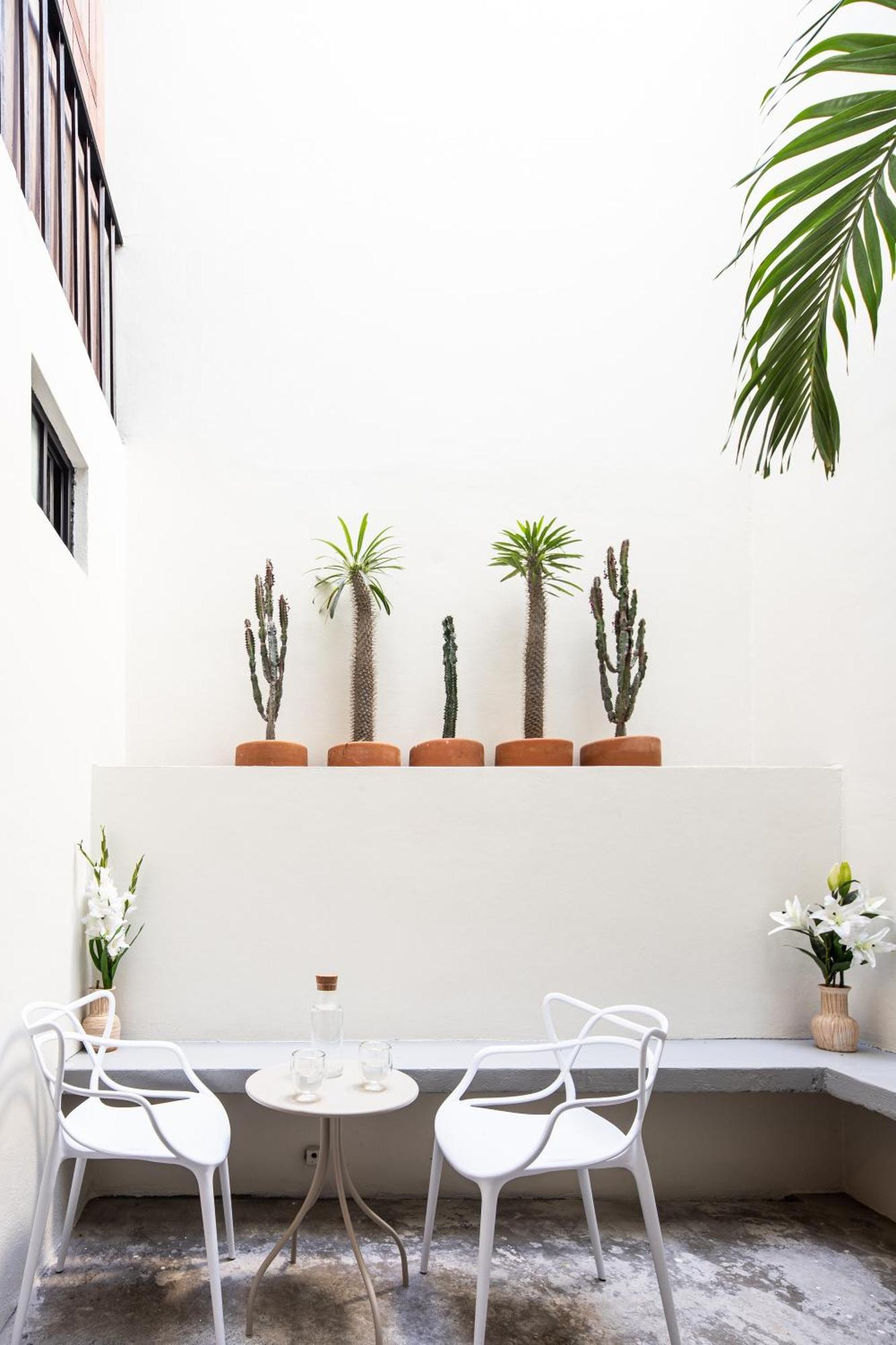 Casa Lumos - Minimalist Comfort Suites In Centro Historico Oaxaca Εξωτερικό φωτογραφία